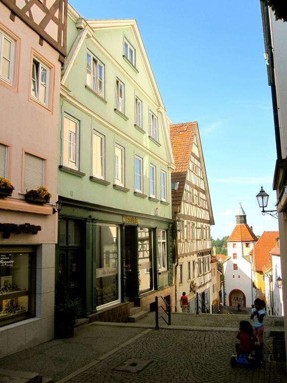 Ferienwohnung Am Ziegelbach Hechingen Ngoại thất bức ảnh