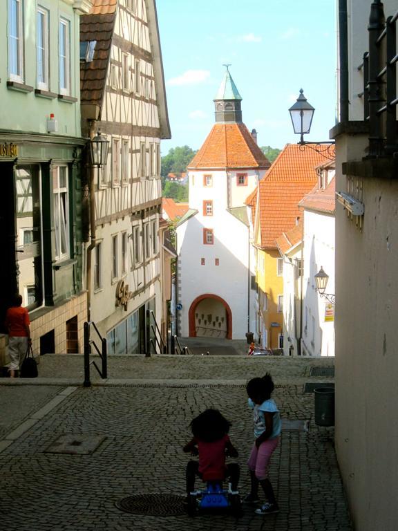 Ferienwohnung Am Ziegelbach Hechingen Ngoại thất bức ảnh